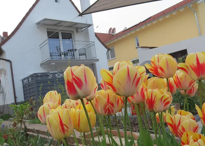 Spira House