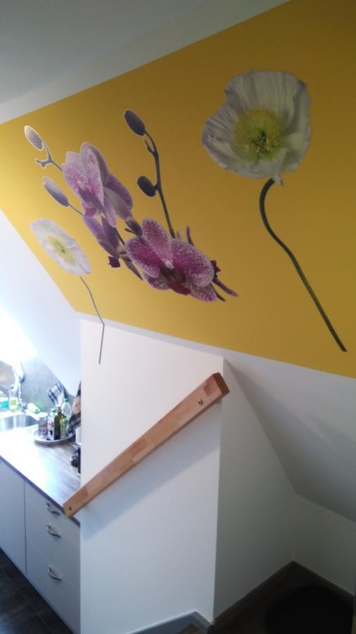 House * Speyer